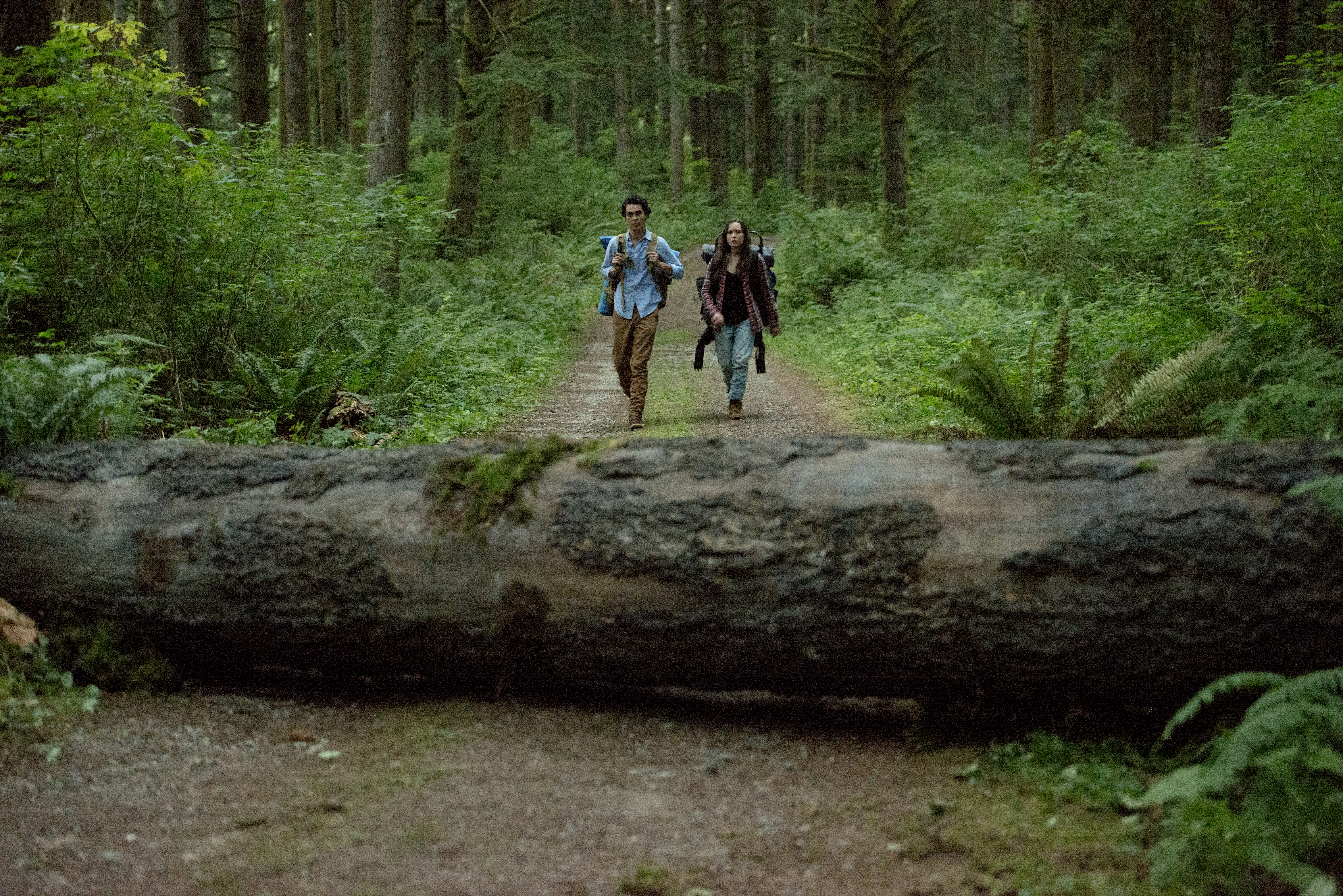 Max Minghella and Ellen Page in Into The Forest